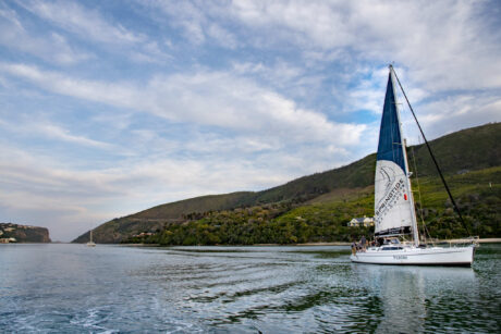 Short Sail